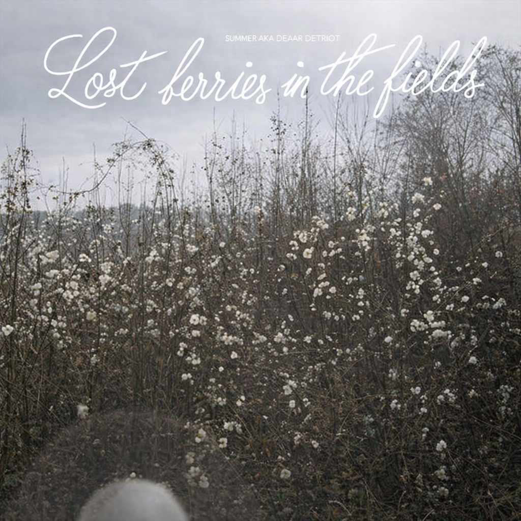 Mmmh - Lost Berries In The Fields