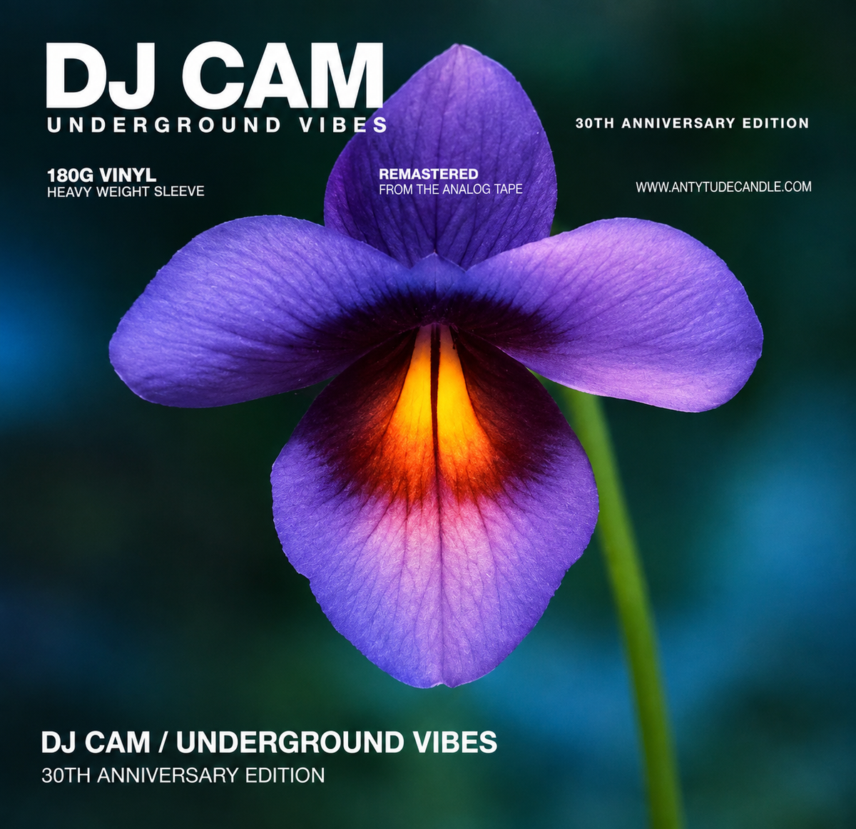 DJ Cam - Underground Vibes (30th Anniversary Edition)