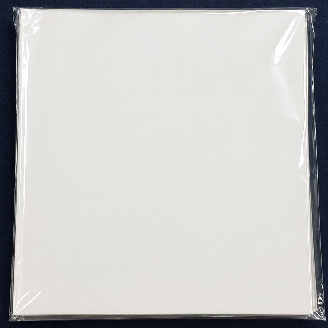 12" Outer Sleeves (Pack of 50)