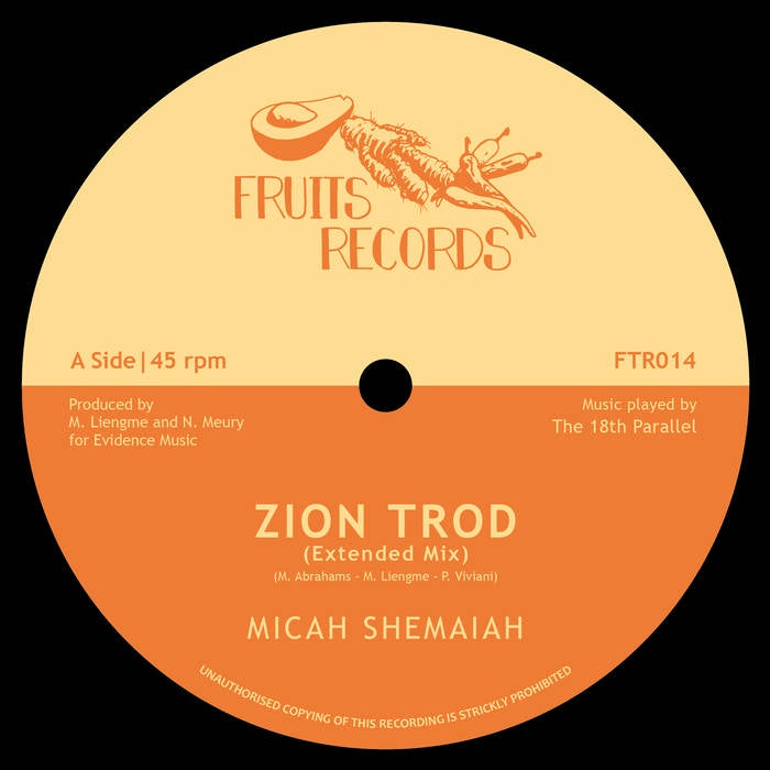 Micah Shemaiah - Zion Trod