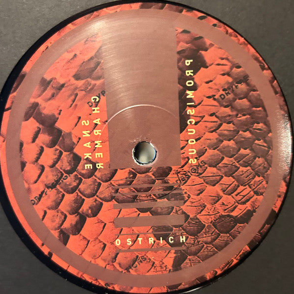 Ostrich - Snake Charmer EP