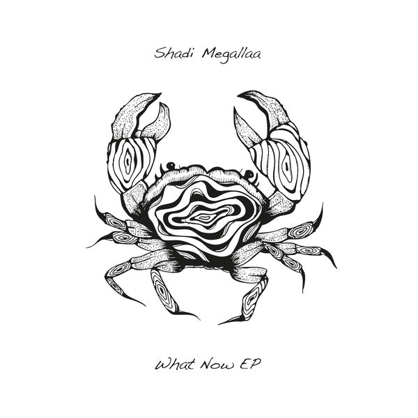 Shadi Megallaa - What Now