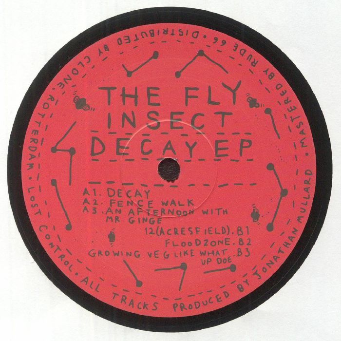 The Fly Insect - Decay EP