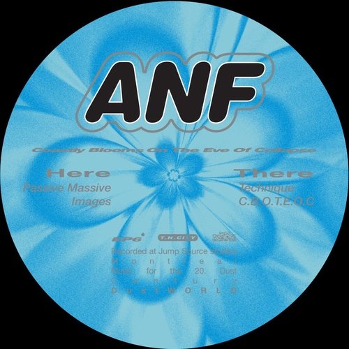 ANF - Costly Blooms On The Eve Of Collapse