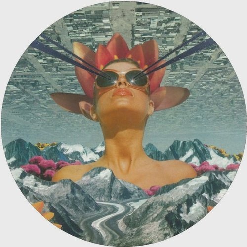 Adam Collins - MSR 002