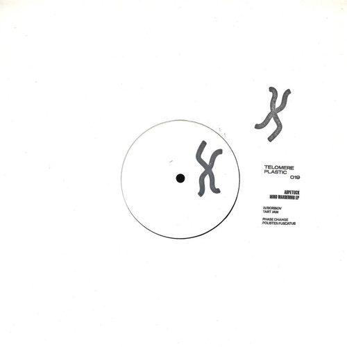 Aspetuck - Mind Wandering