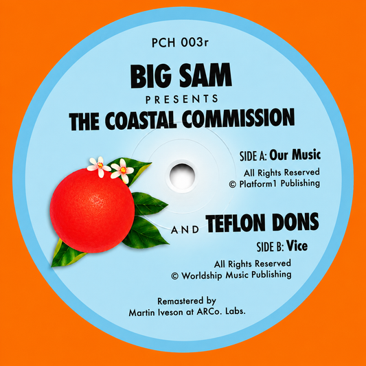 Teflon Dons / Coastal Commission - The Rendezvous