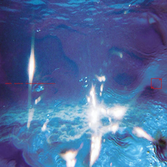 Fabiano Do Nascimento & E Ruscha V - Aquaticos