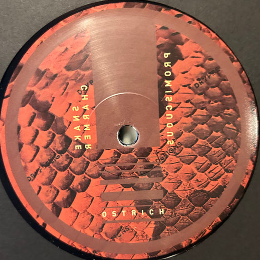 Ostrich - Snake Charmer EP