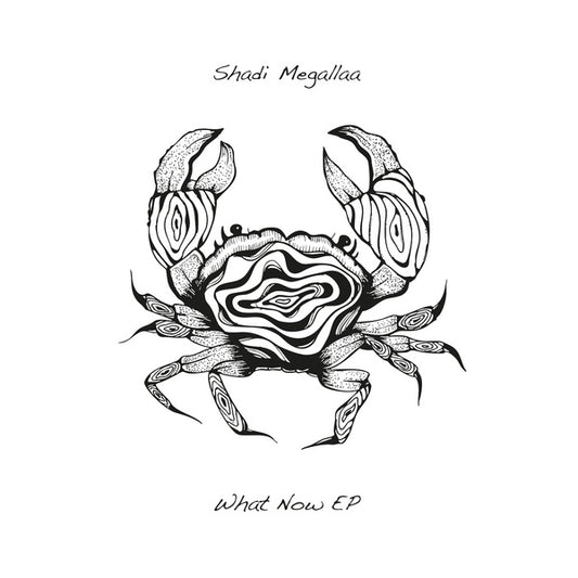 Shadi Megallaa - What Now