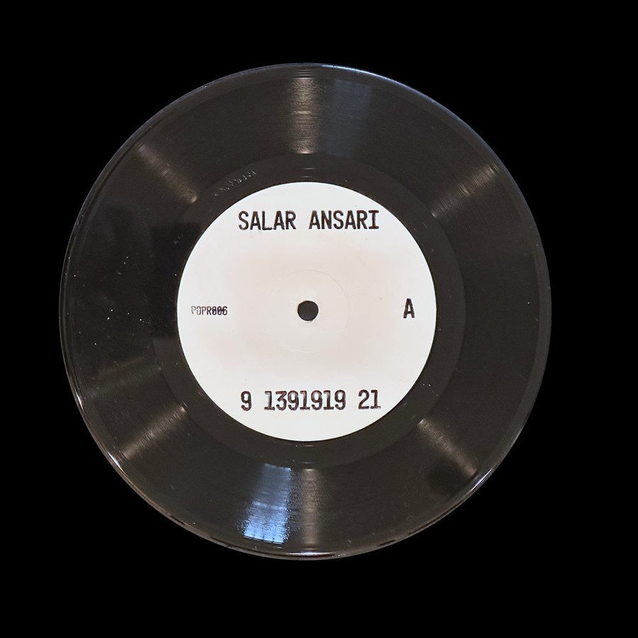 Salar Ansari - 9 1391919 21