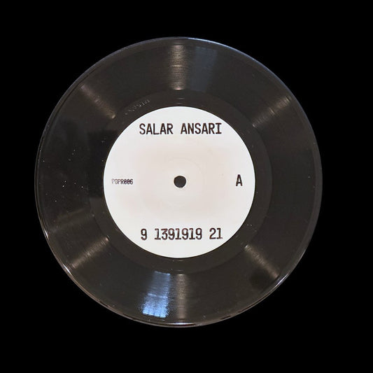 Salar Ansari - 9 1391919 21