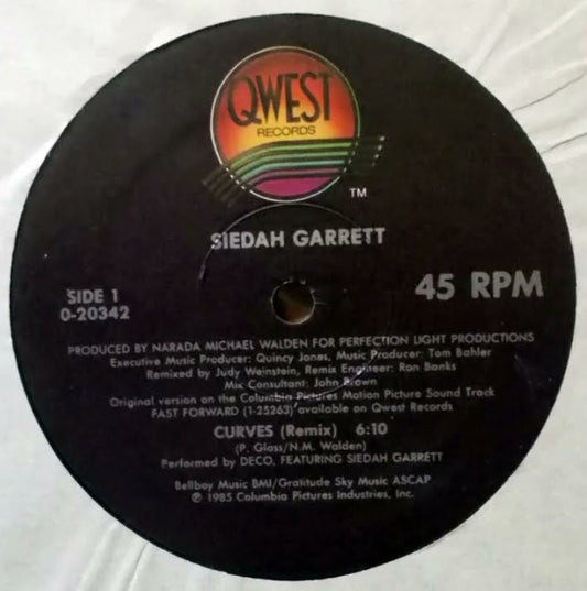 Siedah Garrett - Curves (Remix)