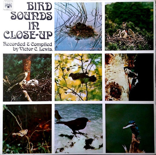 Victor C. Lewis - Bird Sounds In Close Up