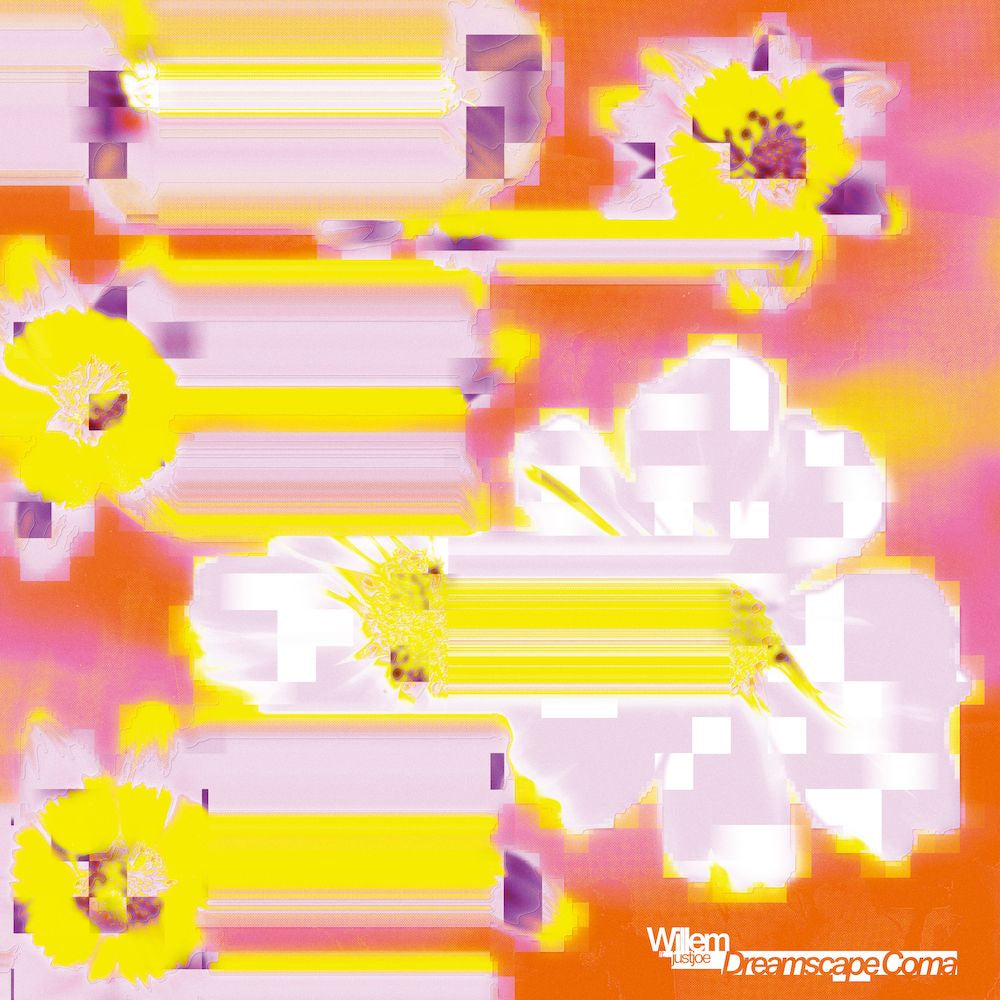 Willem & Justjoe - Dreamscape Coma