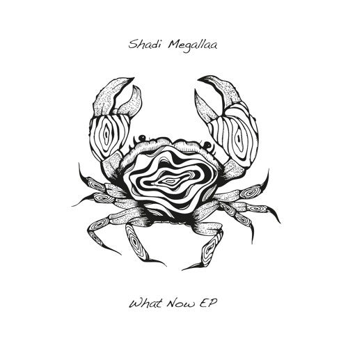Shadi Megallaa - What Now Ep